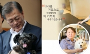 文대통령·윤석열 전 총장 반려견 이름이 똑같네…‘동명이견’ 화제