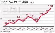 한낮 더위보다 더 뜨거운 강릉 아파트 [부동산360]