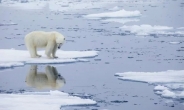북극, 지구온난화로 사흘 연속 번개…10년 사이 3배 증가