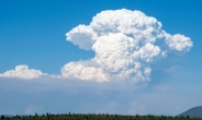 10㎞ 높이 ‘불구름’…美 산불에 2000명 대피