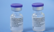 美 FDA, 이르면 다음달 초 화이자 백신 완전 승인 전망