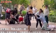 中 베이징 동물원서 집단 몸싸움…동물원측 “이후 동물들이 사람 싸움 흉내”