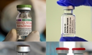 독일, 접종 ‘지지부진’에 유통기한 지난 코로나19 백신 6만회분 폐기 [인더머니]