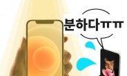 “삼성 폴더블 역대급 흥행 조짐”…관심도 아이폰과 비교해보니