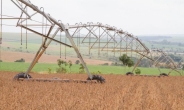 브라질 농산물 생산 감소..농산물 가격 영향줄 듯