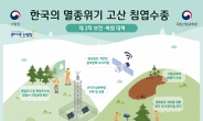산림청, 제2차 ‘멸종위기 고산 침엽수종 보전·복원 대책’ 발표