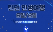 ‘손흥민 보러 가자’…티몬, EPL 직관 여행 상품 출시