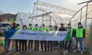 NH-Amundi자산운용, 올해 다섯 번째 농촌 일손돕기…ESG 경영 앞장