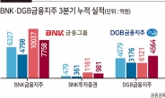 ‘비은행’ 덕 본 BNK·DGB, 다음 수장은 누구?