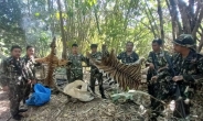 태국 국립공원서 호랑이 가죽벗기고 고기 구운 엽기 행위