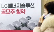 청약 첫날 역대최고 흥행, LG엔솔 ‘쩐의 전쟁’ 왜?