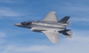 F-35A 비상착륙, 대형 독수리 충돌 때문…충격량 30t 달해