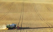 우크라이나 “3월 곡물 수출량, 2월의 4분의 1”