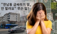 “한남동 금싸라기 땅도 안 팔려요” 가상 부동산 실체 알고보니