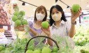 롯데마트, K-품종 ‘썸머킹 사과’ 판매 개시
