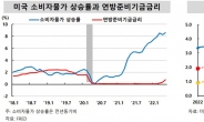 “금융사 외화 순안정자금조달비율(NSFR) 도입 검토해야”