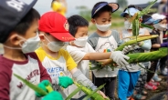 성남시민농원, 옥수수 따기 체험 행사