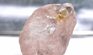300년만에 가장 큰 ‘핑크 다이아몬드’ 채굴…가격 900억원대