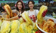 배춧값 폭등에 ‘여름김장’한다…롯데마트, 절임배추 8월 판매