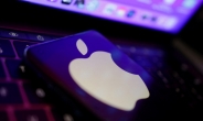 “애플, 아이폰14 中서 출시 두 달 뒤 인도서 생산…격차 줄여”
