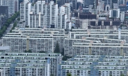 [헤럴드pic] '은마아파트, 재건축 급물살 타나?'