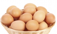 농식품부, 전국 계란농가 대상 살충제 검사…
