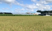 갓 도정한 고시히카리쌀 익일 판매…18년간 판로 공급한 홈플러스 평택 농가 가보니 [르포]