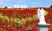 신안 섬티아고② 12성지 빨노파 매력, 산토리니,황금,꽃