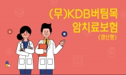 KDB생명 ‘치료비 보장 초점’ 버팀목암치료보험 출시