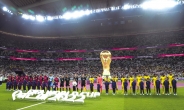 ‘흑자 월드컵’ 56년간 딱 한 번...최대 돈잔치 카타르는?