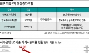 유동성 위기 저축銀 줄줄이 유상증자