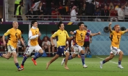 日 관방부장관 “월드컵 8강서 한·일 붙었으면”