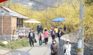 ‘제20회 양평 산수유·한우 축제’ 2023년 4월 1~2일 개최