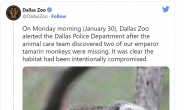“배후가 누구냐” 美 댈러스 동물원서 대만표범 이어 황제원숭이도 탈출