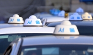 [단독] 택시업계, 공공요금 제외 공식 요청…행안부 내부 검토