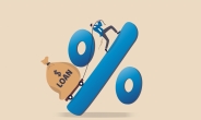 저축은행 고금리 신용대출 급증…절반 이상은 17%↑[머니뭐니]