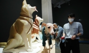 성북구, 취약계층 반려동물 의료비 지원사업 확대 운영