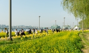 “한강공원서 꽃놀이 즐기세요”…서울시, 14일부터 봄꽃 심는다