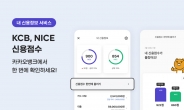 카카오뱅크 ‘내 신용정보 서비스’ 확대…NICE·KCB 신용점수 동시 제공