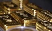 은행발 금융 불안에 “금값 신고가 향해 달린다”...MMF 쏠림도↑[뱅크런 자금 어디로]
