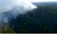 전국에서 발생한 산불…산림당국, 일출 후 총력 대응