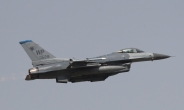 [속보] 미군 F-16 전투기, 평택서 추락…조종사 극적 탈출