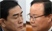 ‘사퇴’로 출구 찾은 태영호…김재원은? “정치해야 산다고 생각하는 사람”[이런정치]