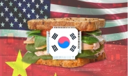 “반도체는 새로운 석유” 미·중 ‘칩 전쟁’에 낀 한국의 운명은? [김민지의 칩만사!]