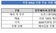 [주간 '딜'리버리] M&A 혹한기, 해외 PE 잡아라