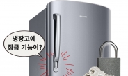 “냉장고에 자물쇠 달아 팔 정도” 삼성 vs. LG 새 격전지 된 나라는? [비즈360]