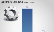 생산·소비·투자, 2개월 연속 ‘트리플 상승’…하반기 경기회복 기대감↑