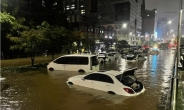 고도화된 홍수예보로 제2의 강남역, 신림동 도시침수피해 막는다