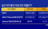 비트코인 일주일새 22% 급등...3만4000弗 고공행진