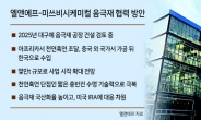 엘앤에프, 2025년 음극재 국내생산